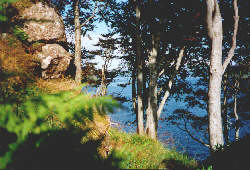 The Lump - eine kleine Halbinsel in Portree, dem Hauptort auf Skye.